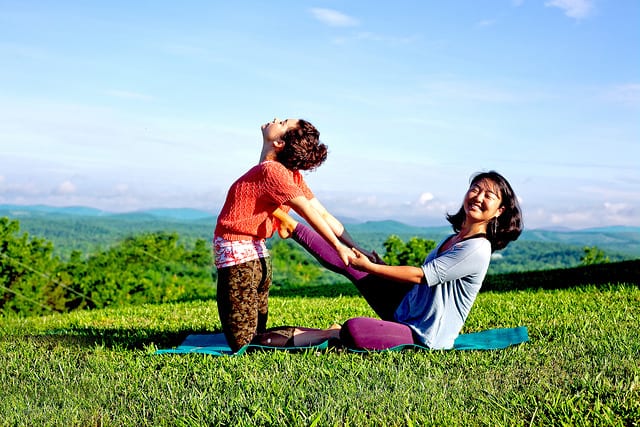 Yoga and Ayurveda: Sister Sciences