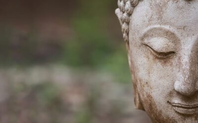 Embodying the Dharma: Yoga Practice for Buddhist Teachings