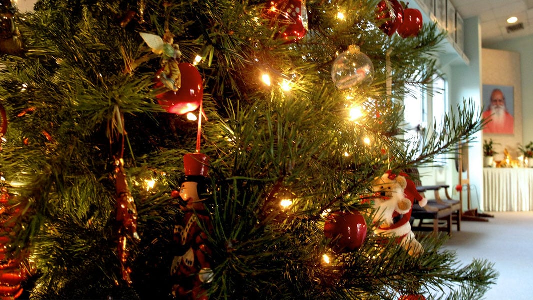 Close up photo of a Christmas Tree with ornaments and lights